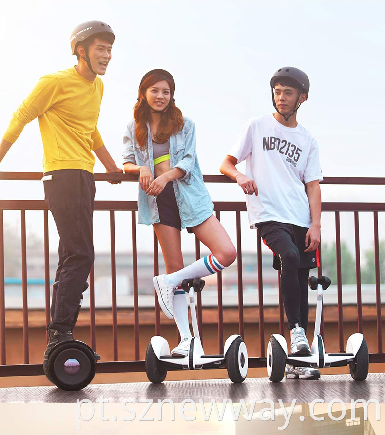 Segway Kick Scooters